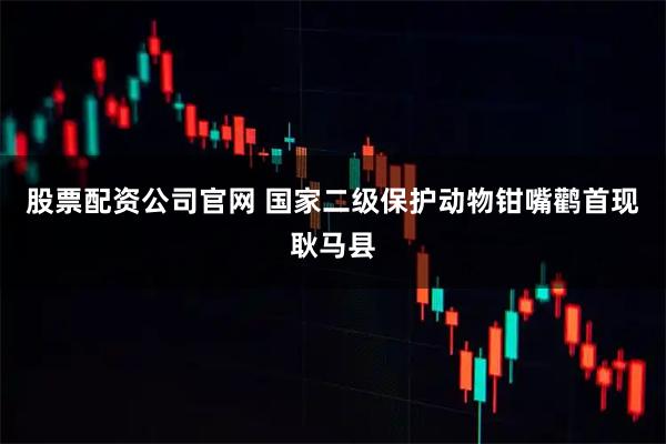 股票配资公司官网 国家二级保护动物钳嘴鹳首现耿马县